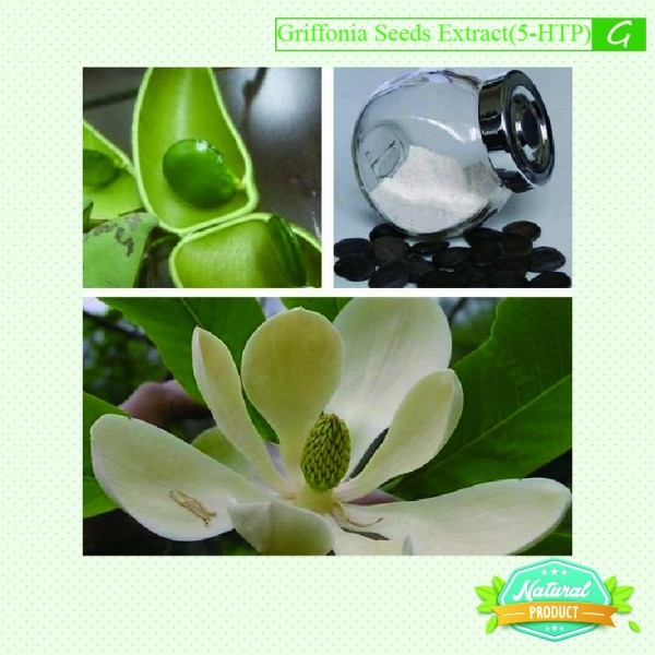 Griffonia Seeds Extract 5-HTP ≥25% 25kg/drum