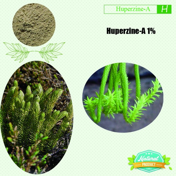 Huperzine-A 1% (Natural) 1kg/bag