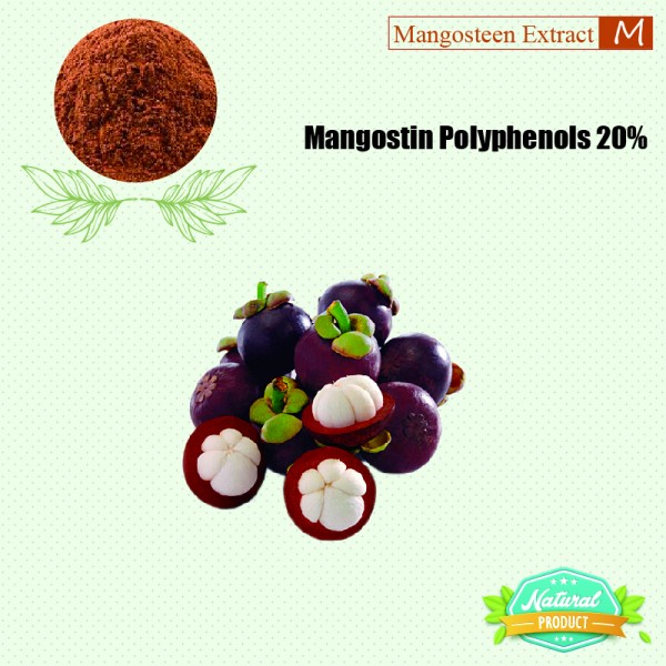 Mangosteen Extract Polyphenols 20%  25kg/drum