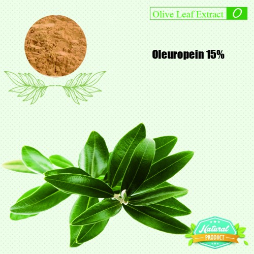 Olive Leaf Extract Oleuropein 15%  25kg/drum