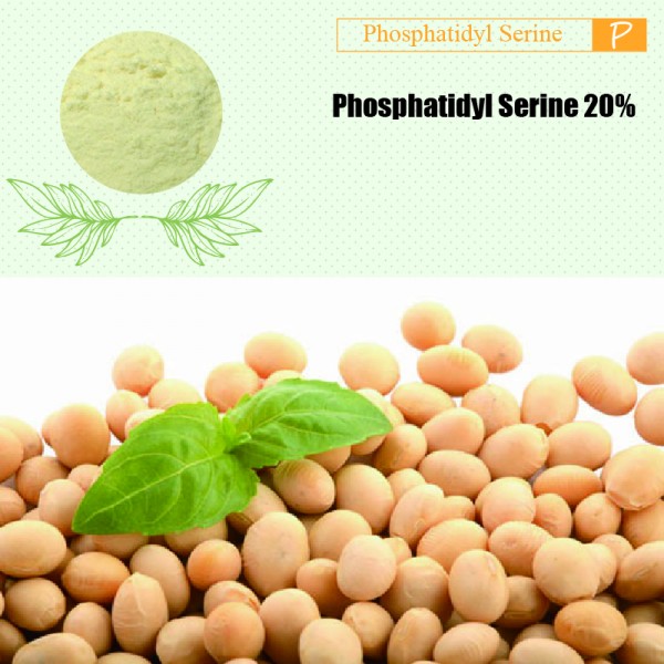 P.S. (Soy) Phosphatidyl Serine 20% 1kg/bag