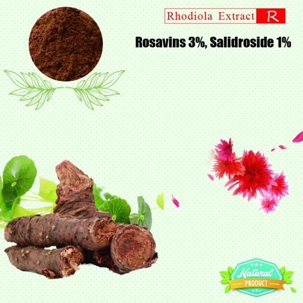 Rhodiola Rosea Extract Rosavins, Salidroside 3%, 1% 25kg/drum