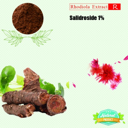 Rhodiola Rosea Extract Salidrosides 1% 25kg/drum