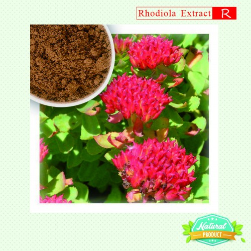 Rhodiola Rosea Extract Rosavins, Salidroside 12%, 5% 5kg/bag