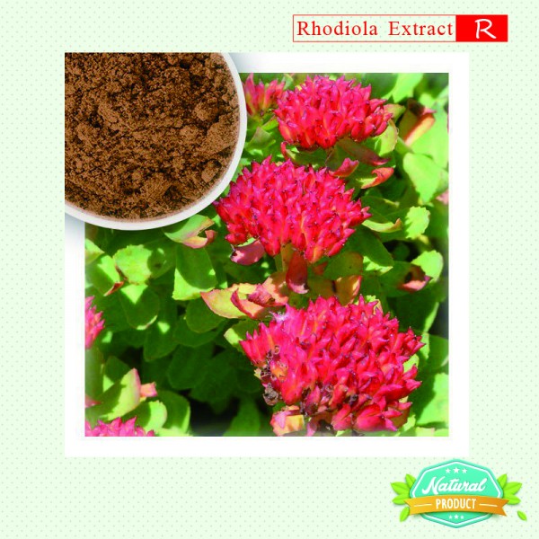 Rhodiola Rosea Extract     Rosavins > 12%,  Salidroside> 5% (5kg/bag)