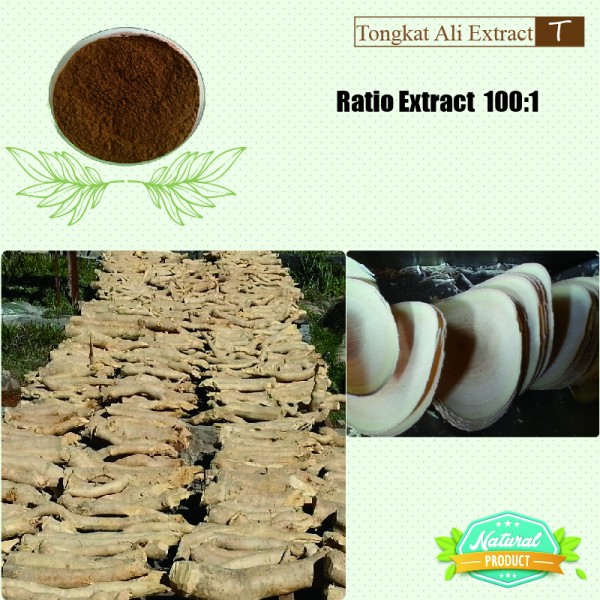 Tongkat Ali Extract Ratio Extract 100:1  25kg/drum