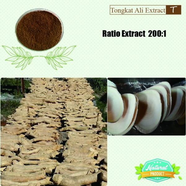 Tongkat Ali Extract Ratio Extract 200:1  25kg/drum