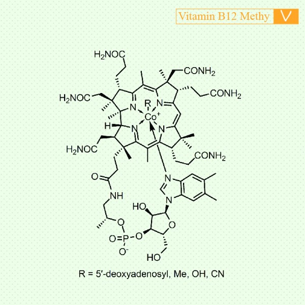 Vitamin B12 Methylcobalamin (0.1kg/Tin) By Yuxing
